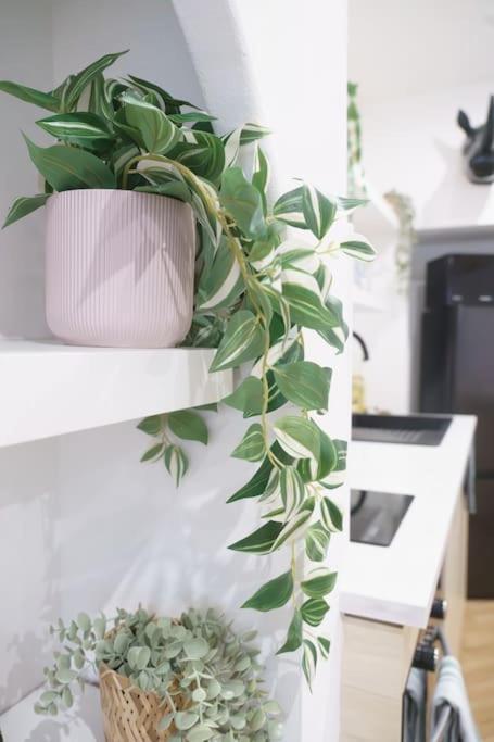 La Casa Del Chic Cabestany